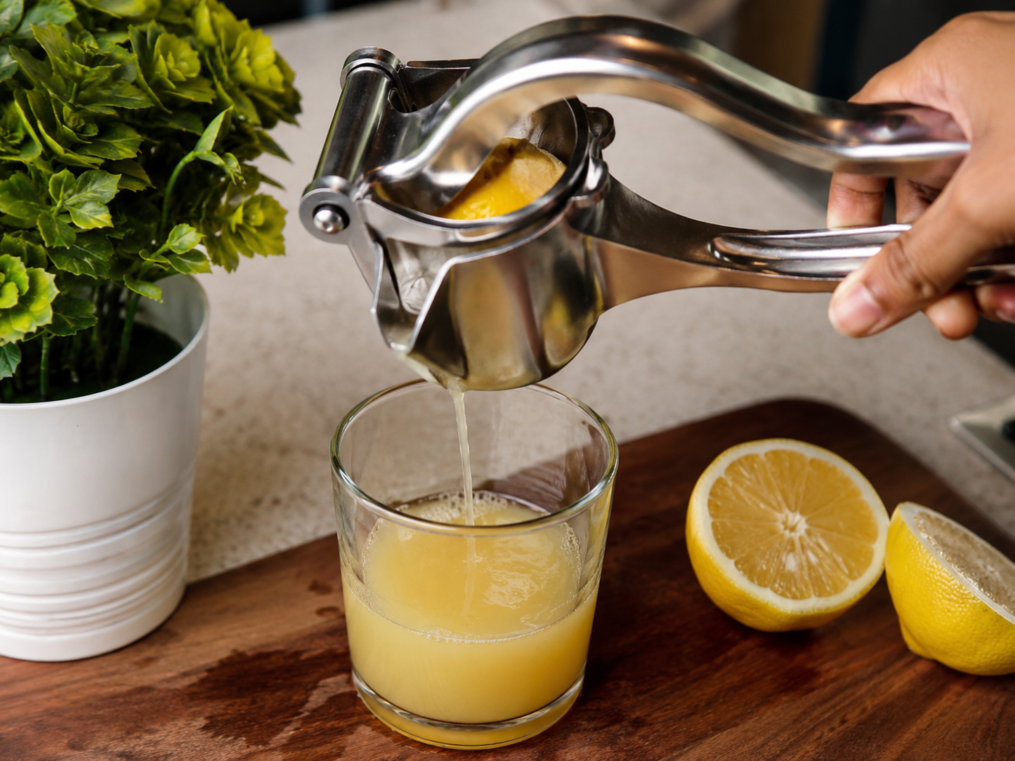 Manual Lemon, Orange & Lime Squeezer for Maximum Juice Extraction